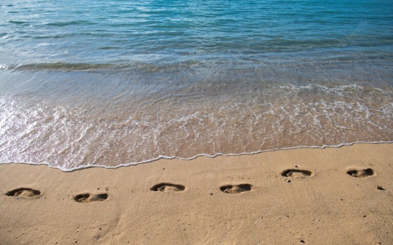 sandy tropical beach with sea waves foot steps shore footprints sand sunset 265223 8371